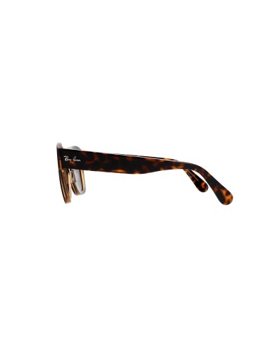 Ray-Ban Sole