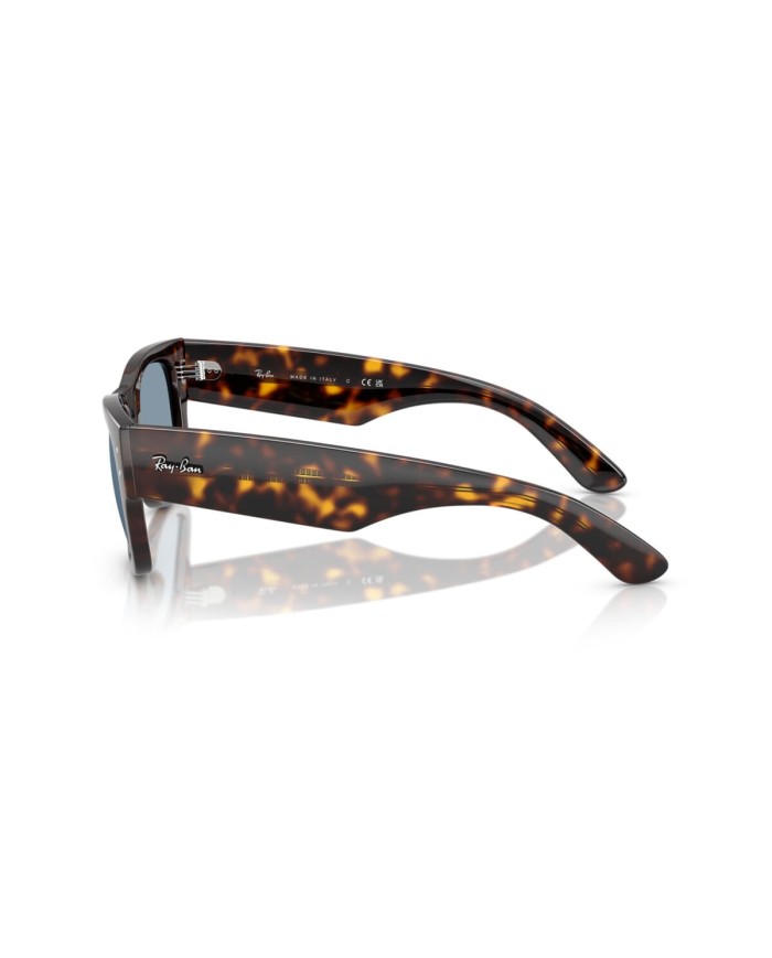 Ray-Ban Sole