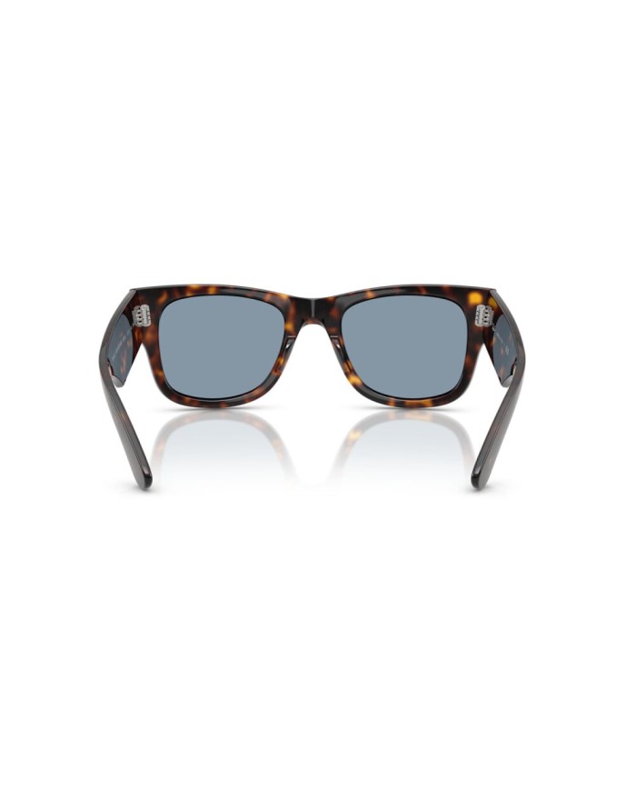 Ray-Ban Sole