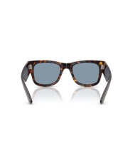 Ray-Ban Sole