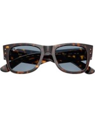 Ray-Ban Sole