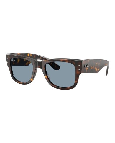 Ray-Ban Sole