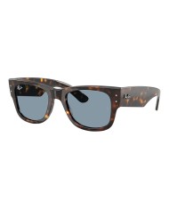 Ray-Ban Sole