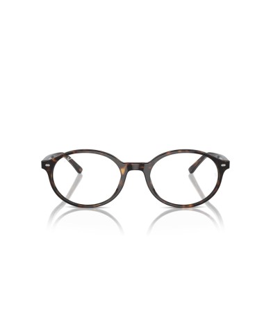 Ray-Ban Vista