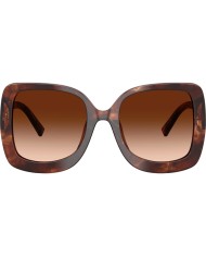 Dolce & Gabbana Sole