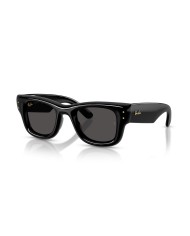 Ray-Ban Sole