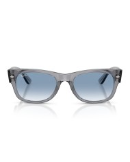 Ray-Ban Sole