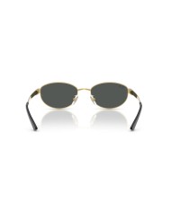Ray-Ban Sole